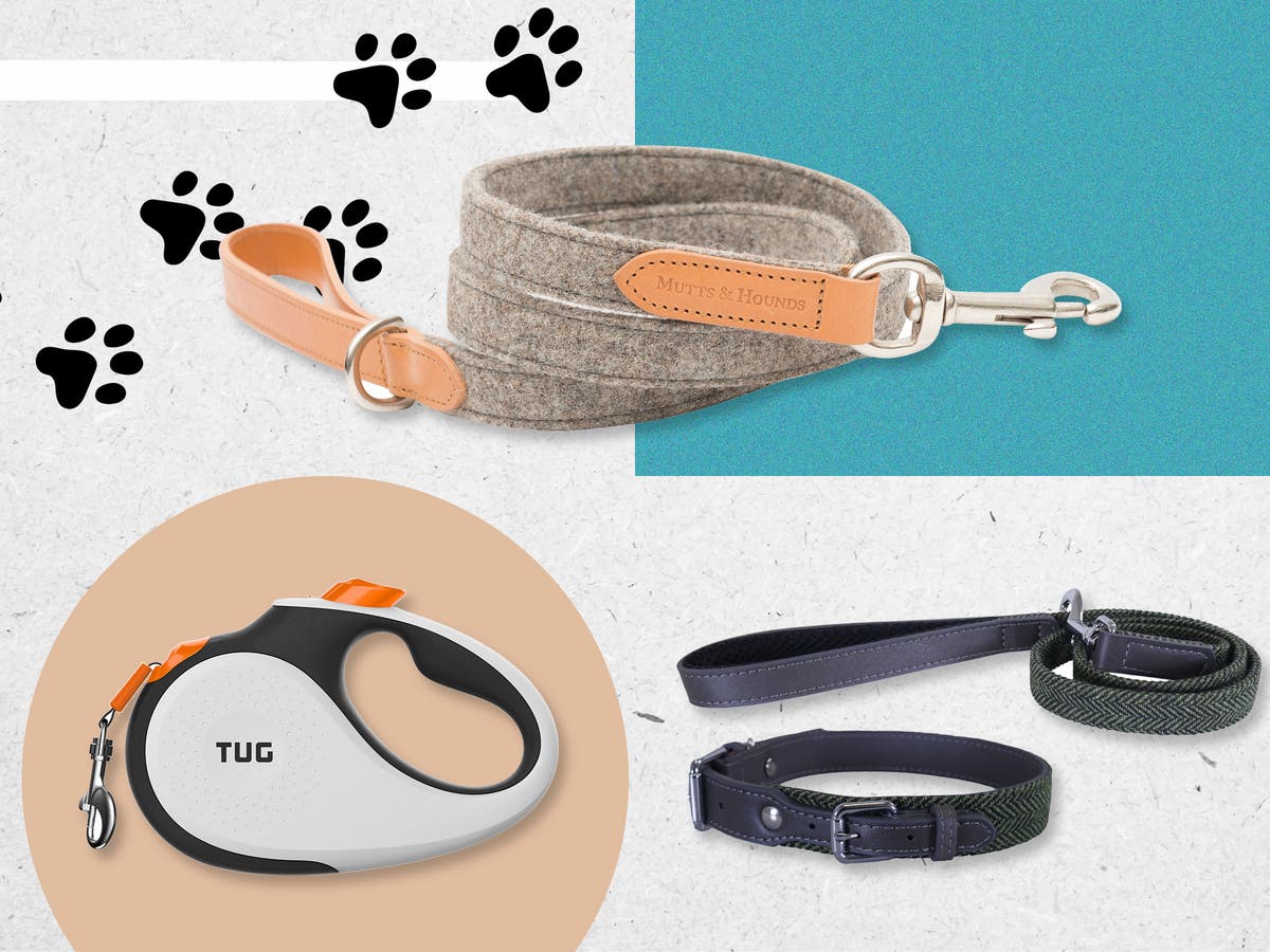 Best dog leads and leashes 2023 Retractable and reflective styles The Independent